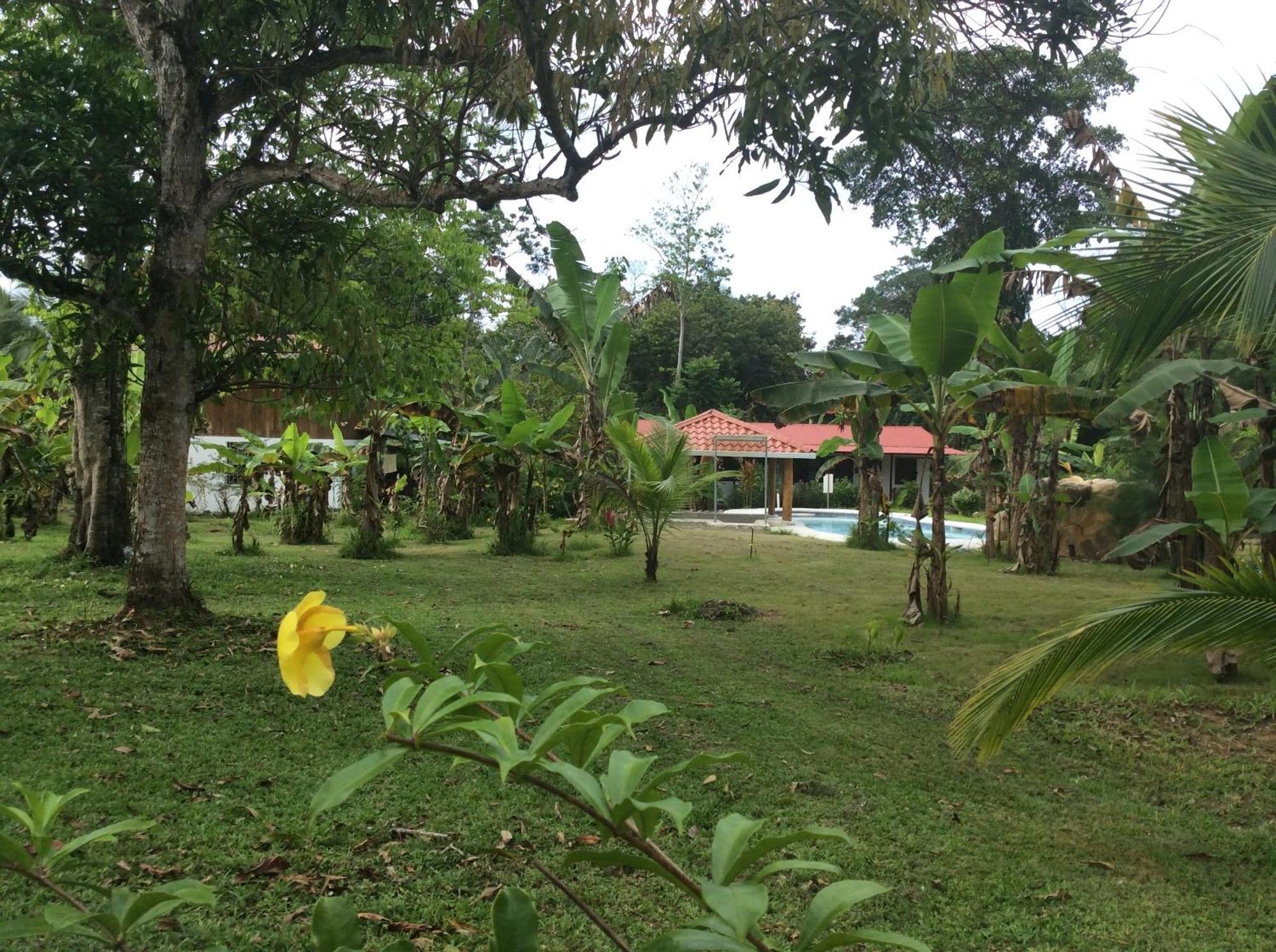 Cabinas Los Tucanes Cahuita Exterior photo