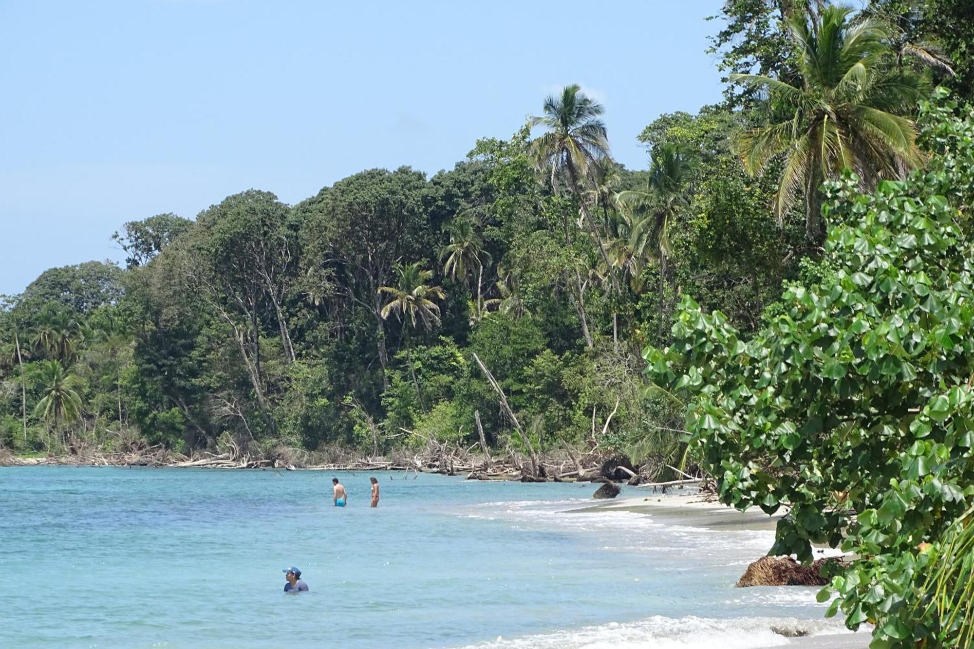 Cabinas Los Tucanes Cahuita Exterior photo