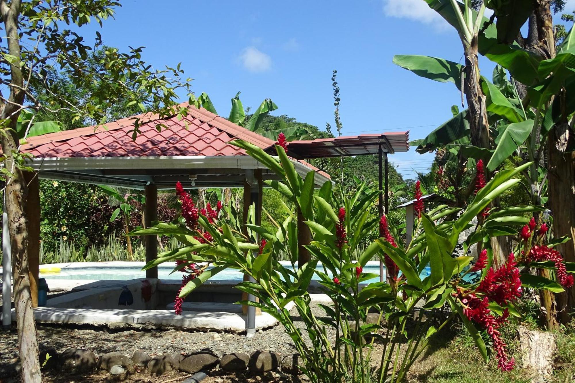 Cabinas Los Tucanes Cahuita Exterior photo