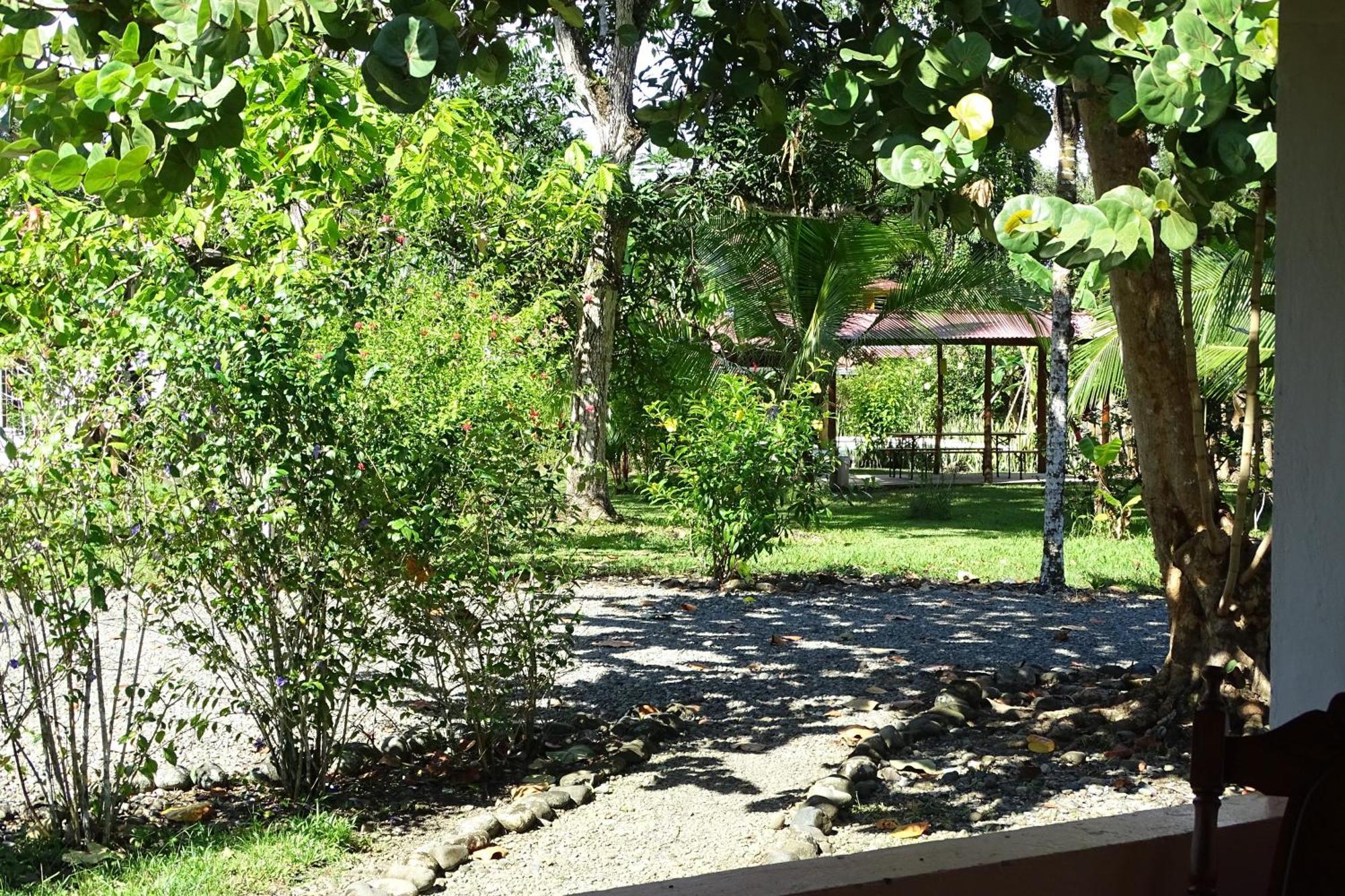 Cabinas Los Tucanes Cahuita Room photo